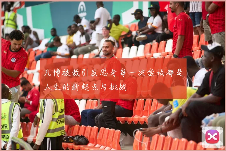 凡博被裁引发思考每一次尝试都是人生的新起点与挑战