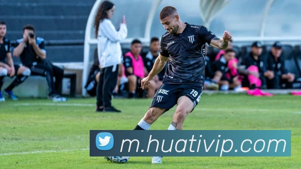 华体会体育平台生态图